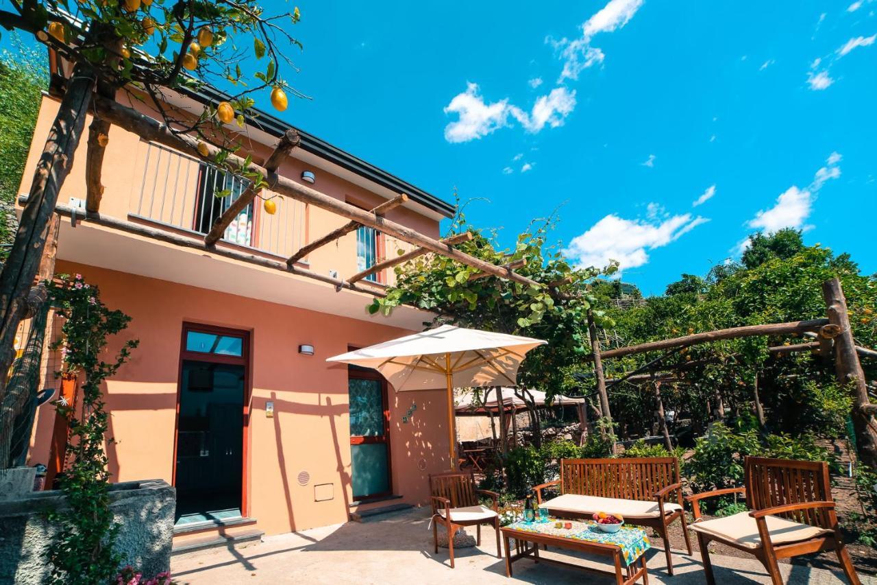 Poggio Angelarosa: Lemon Garden Stay&Relax Scala Kültér fotó