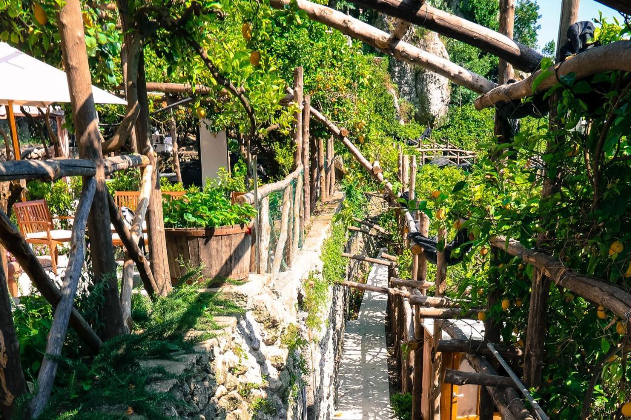 Poggio Angelarosa: Lemon Garden Stay&Relax Scala Kültér fotó