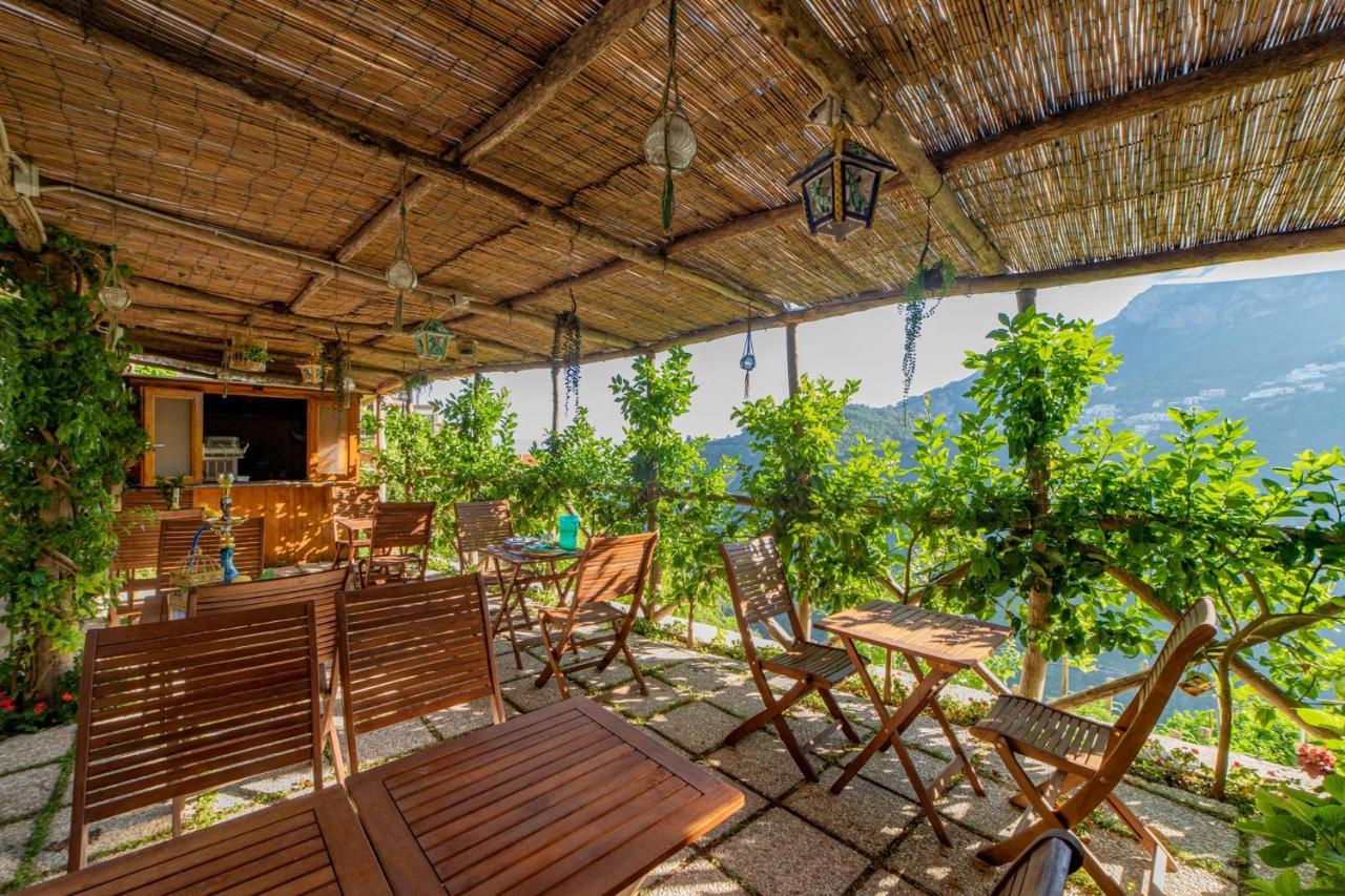 Poggio Angelarosa: Lemon Garden Stay&Relax Scala Kültér fotó