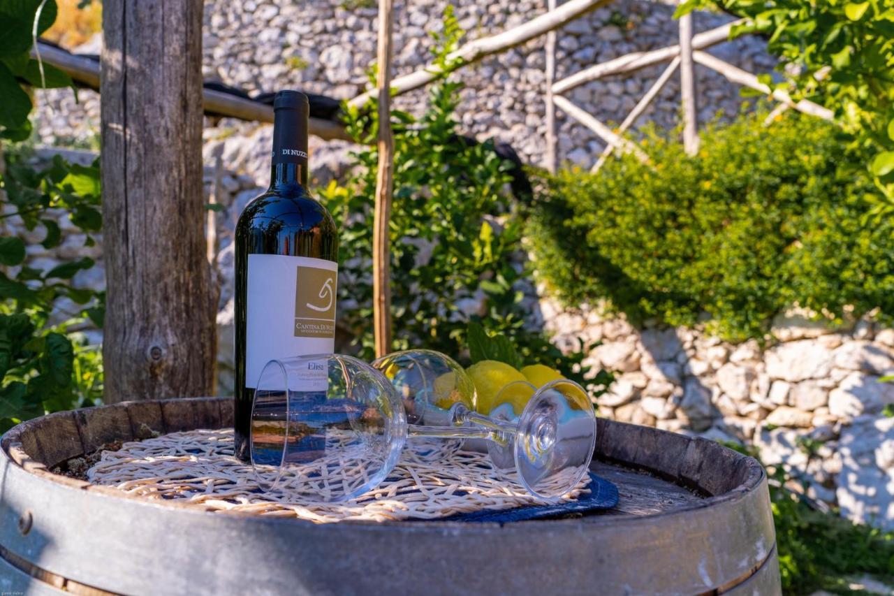 Poggio Angelarosa: Lemon Garden Stay&Relax Scala Kültér fotó