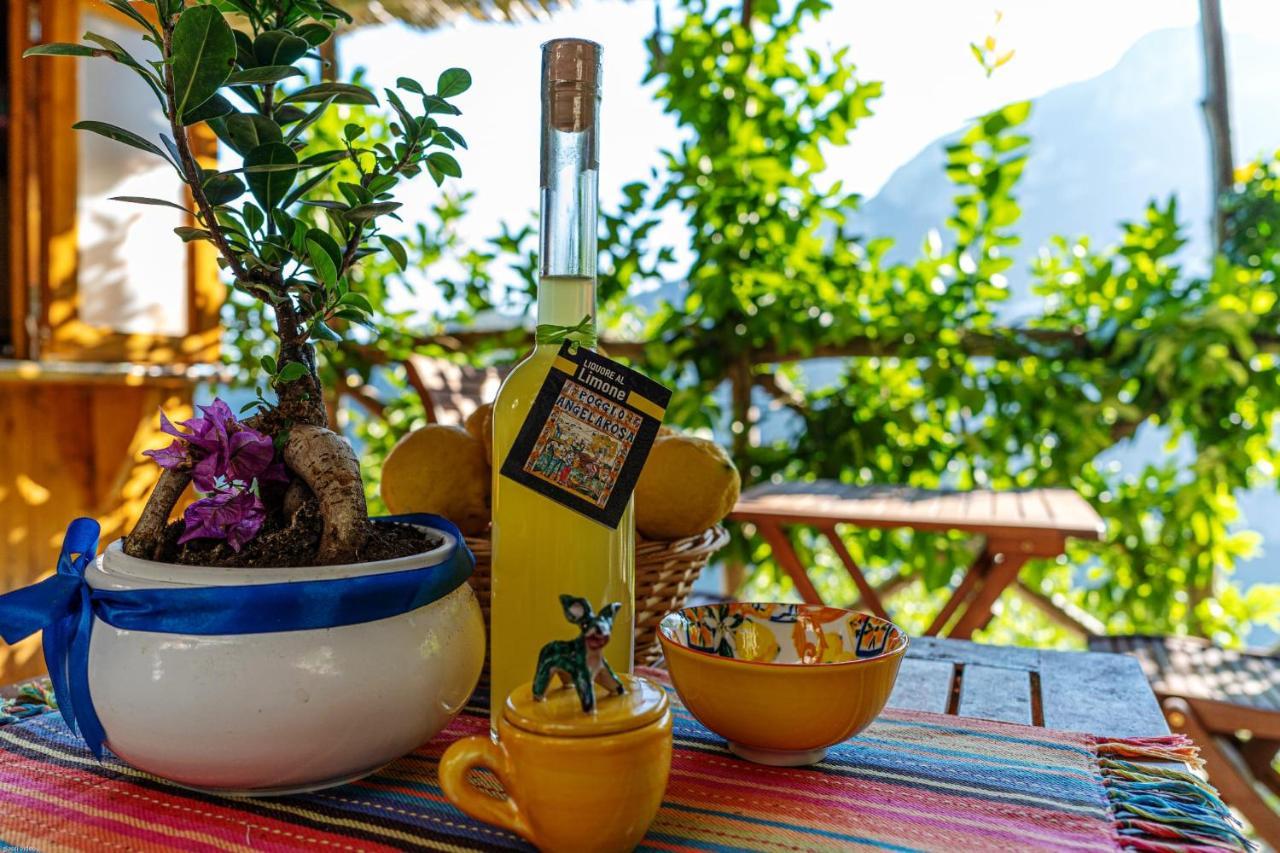 Poggio Angelarosa: Lemon Garden Stay&Relax Scala Kültér fotó